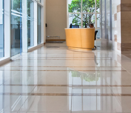 Lobby - Floor Coverings